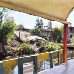Xochimilco canals