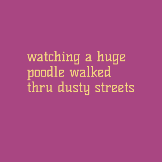 watching a huge poo­dle walked thru dusty streets