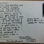 August 10th Postcard - Shell Poem