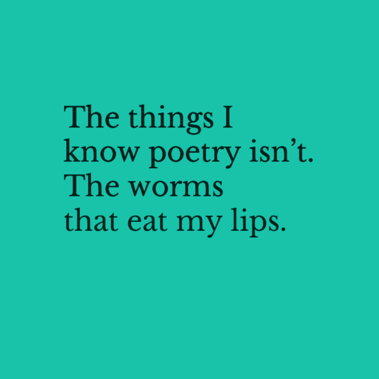 The things I know poetry isn’t. The worms that eat my lips.